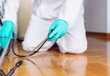 A Desinsetização de Farmácia com Laudo de Vigilância Sanitária