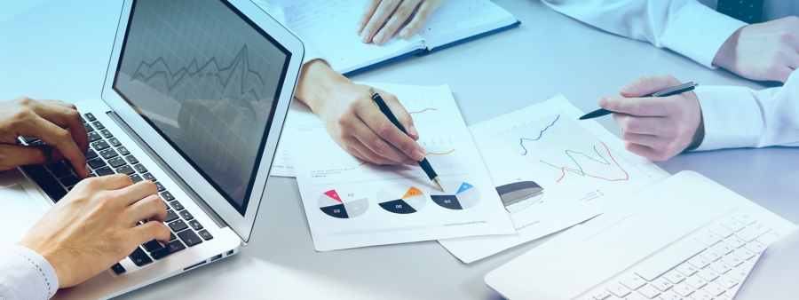 As Etapas de Elaboração de Relatório de Controle de Pragas