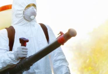 Como Funciona o Controle Integrado de Pragas Urbanas na Indústria