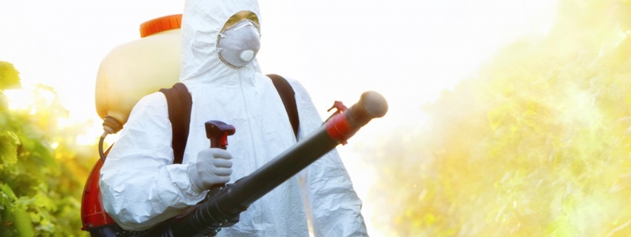 Como Funciona o Controle Integrado de Pragas Urbanas na Indústria