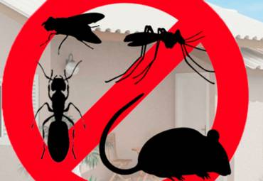 Saiba como Funciona o Controle de Pragas