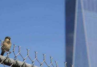 Os Insetos de Outono: Como se prevenir?