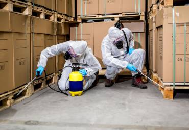 Controle de Pragas – CIP