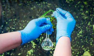 Análise de Potabilidade de Água para Consumo Humano