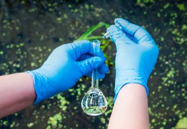 Análise de Potabilidade de Água para Consumo Humano