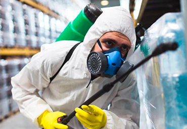 5 Maneiras de Evitar Pragas Urbanas na Indústria