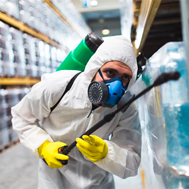 5 Maneiras de Evitar Pragas Urbanas na Indústria