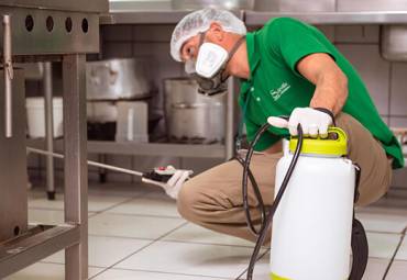 Qual é o prazo ideal para a manutenção de Desinsetização para empresas? Descubra agora mesmo!
